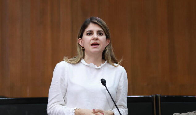 PIDEN CONTINUAR CON LAS LABORES DEL CENTRO DE ATENCIÓN MI GRAN ABUELO